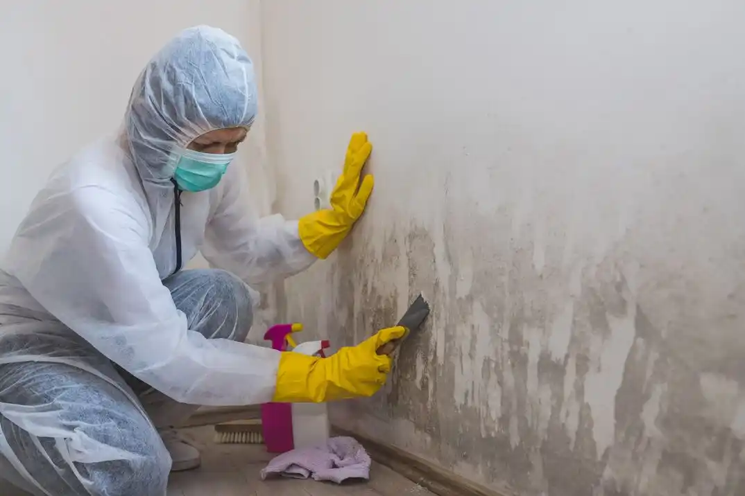 water damage restoration service East Oak Forest